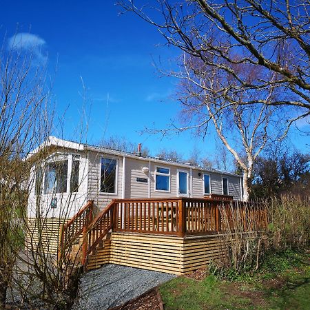 Red Squirrel Holiday Home In The Countryside, 10 Mins To Lligwy Beach Llandyfrydog المظهر الخارجي الصورة