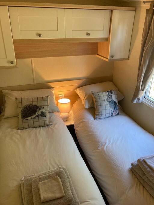 Red Squirrel Holiday Home In The Countryside, 10 Mins To Lligwy Beach Llandyfrydog المظهر الخارجي الصورة