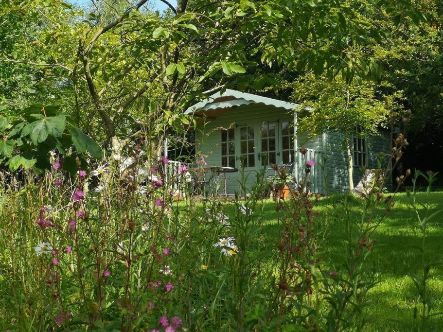 Red Squirrel Holiday Home In The Countryside, 10 Mins To Lligwy Beach Llandyfrydog المظهر الخارجي الصورة