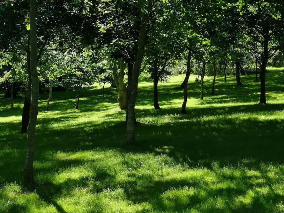 Red Squirrel Holiday Home In The Countryside, 10 Mins To Lligwy Beach Llandyfrydog المظهر الخارجي الصورة